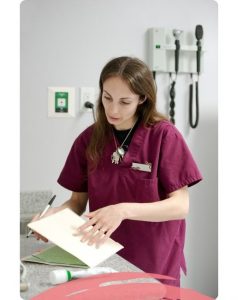 What to do to become a vet nurse in Perth