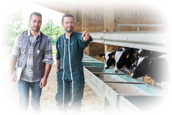 Top 6 Animal Care Jobs - a Career working with Animals