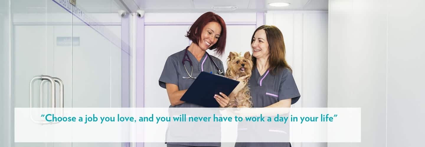 Reasons to choose a career working with animals