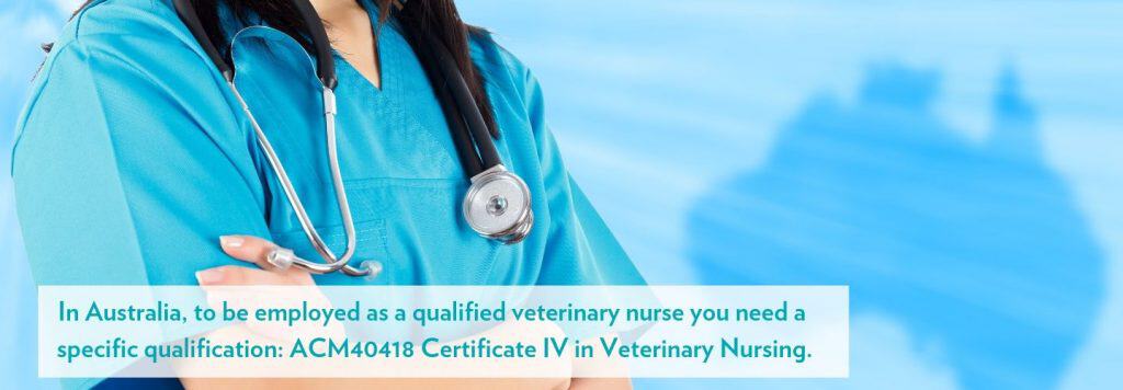 Veterinary nursing jobs in australia