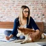 Online courses for Vet Nursing and Animal Studies in Australia