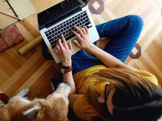 Benefits of studying animal care online in Australia