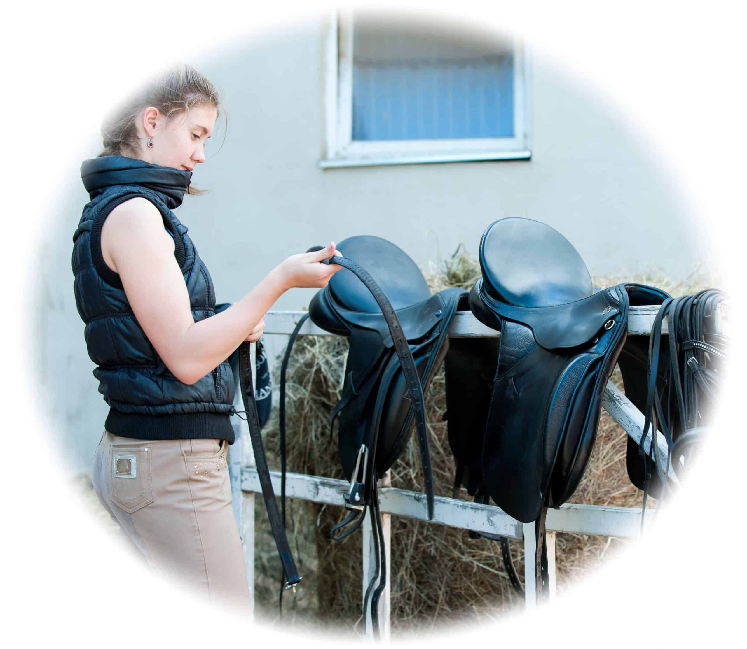 Practical horse care skills - training