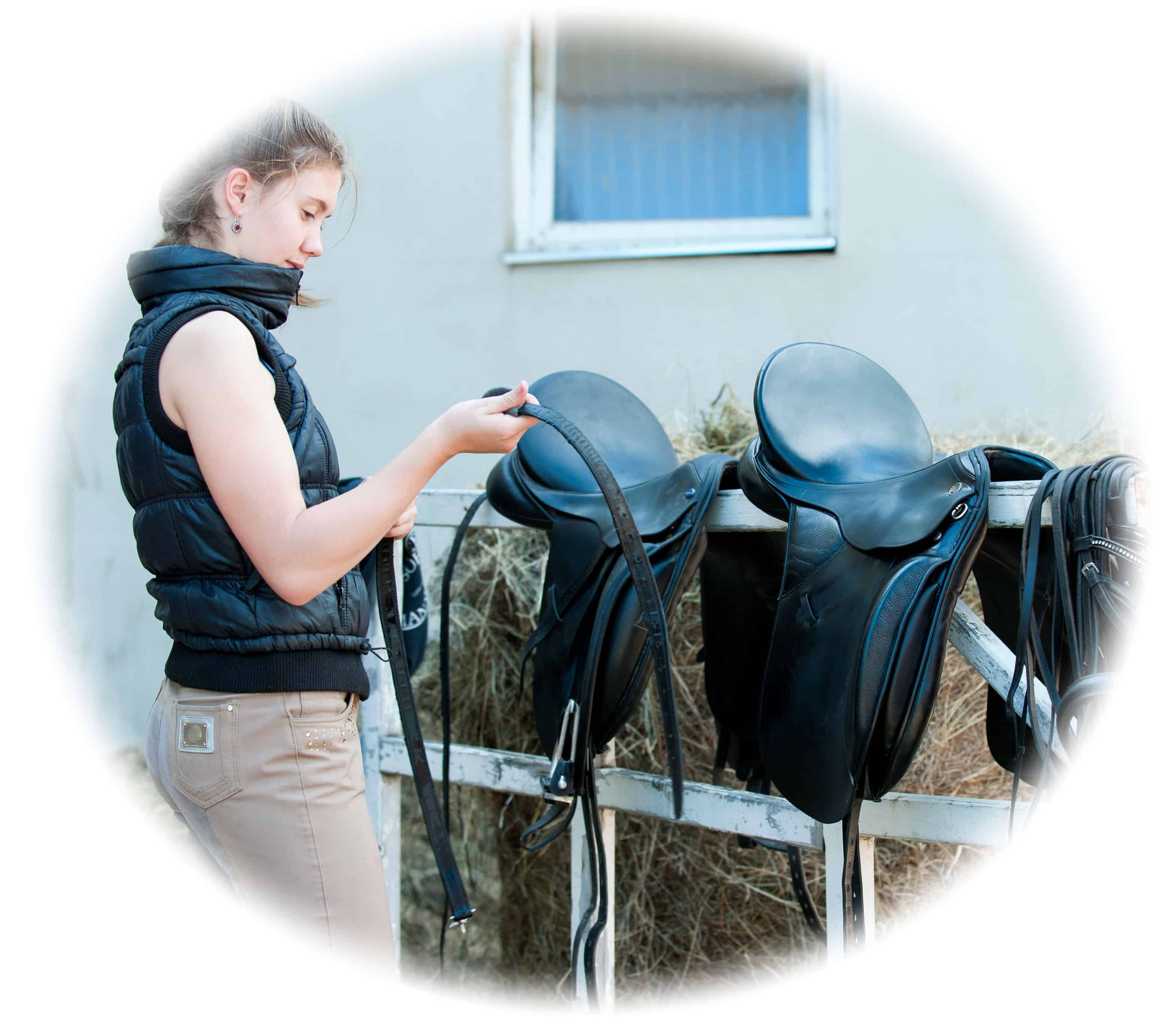 Perth Horse care Skills Course