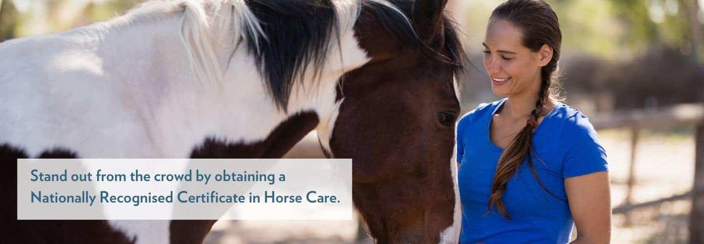 Ten Rewarding Careers that Involve Working with Horses