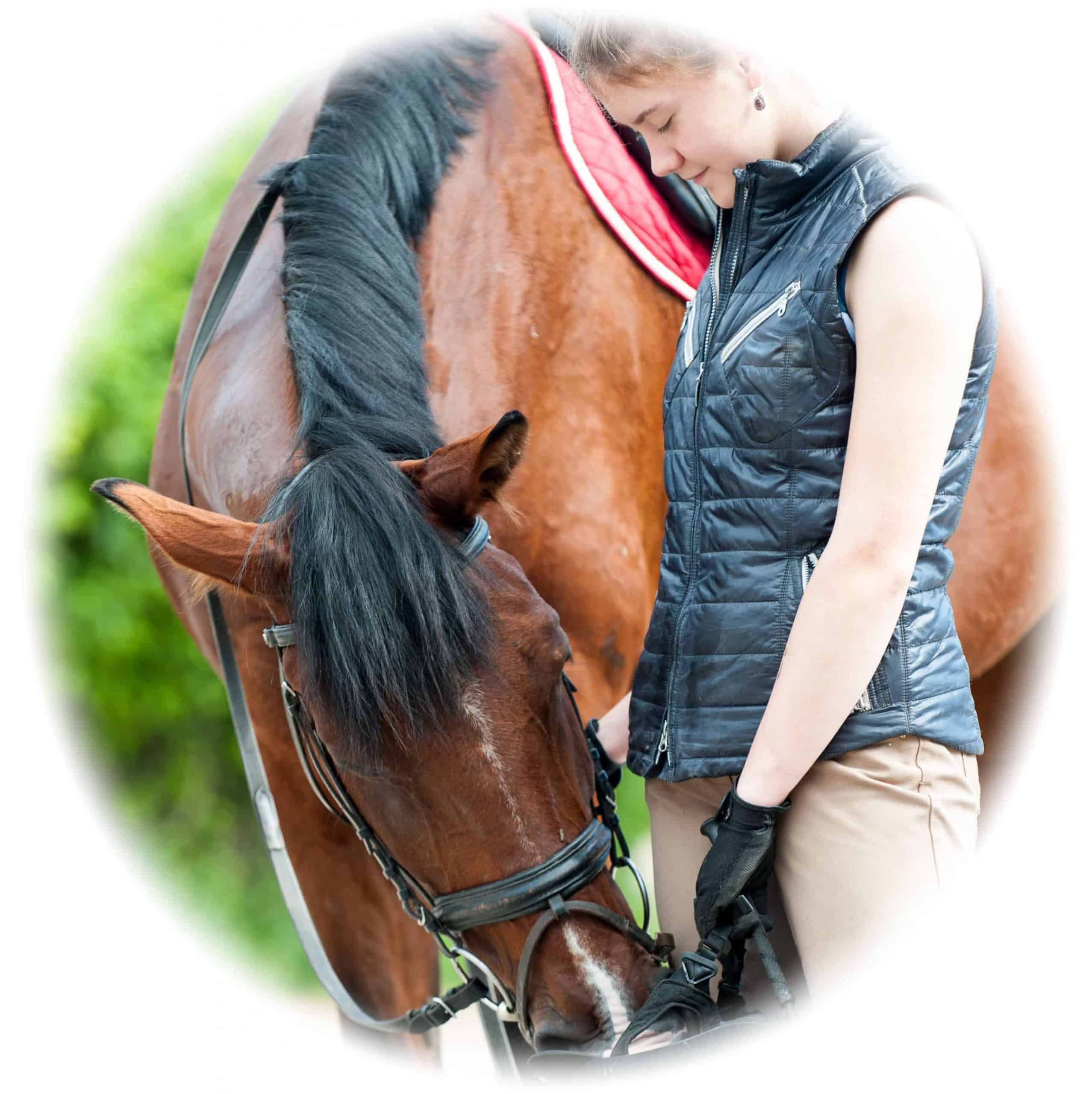 Applying for an equine care training course
