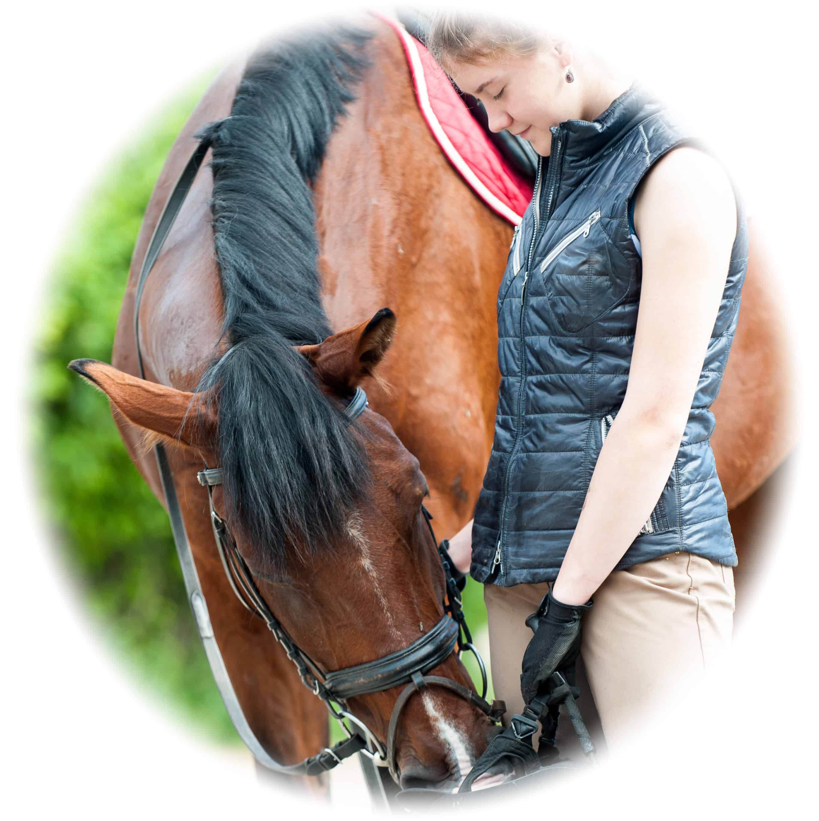 Perth Horsecare Perth - for careers and jobs in equine