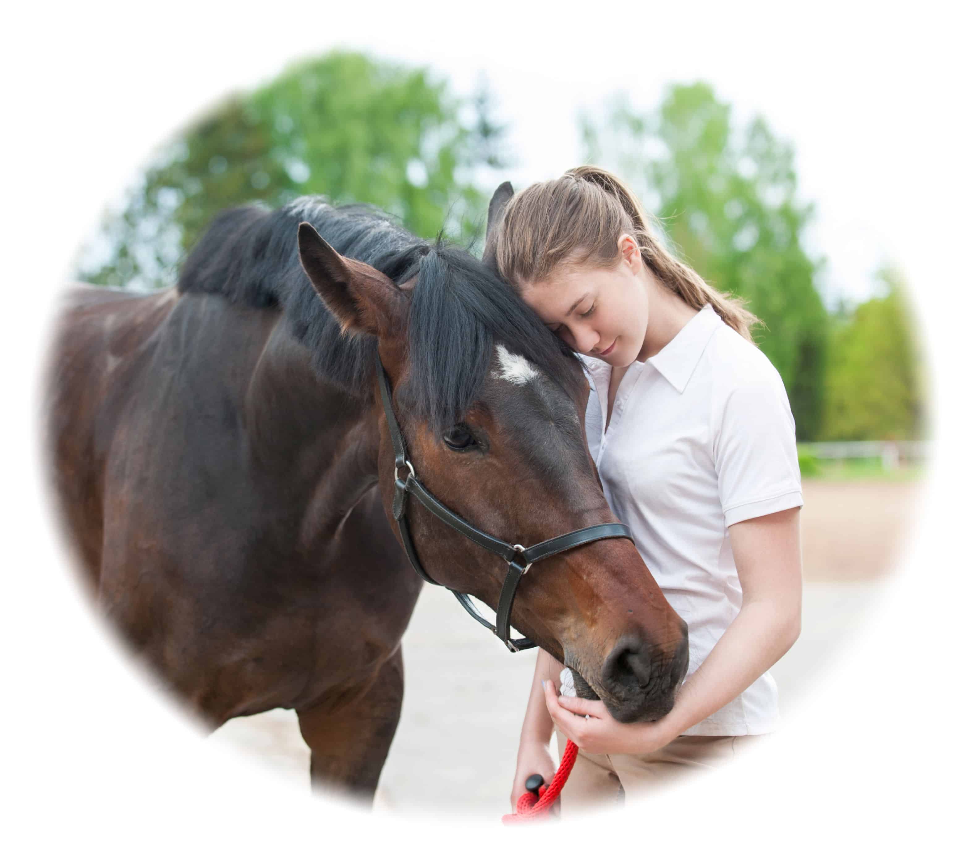 Learn best equine skills to prepare you for a career working with animals