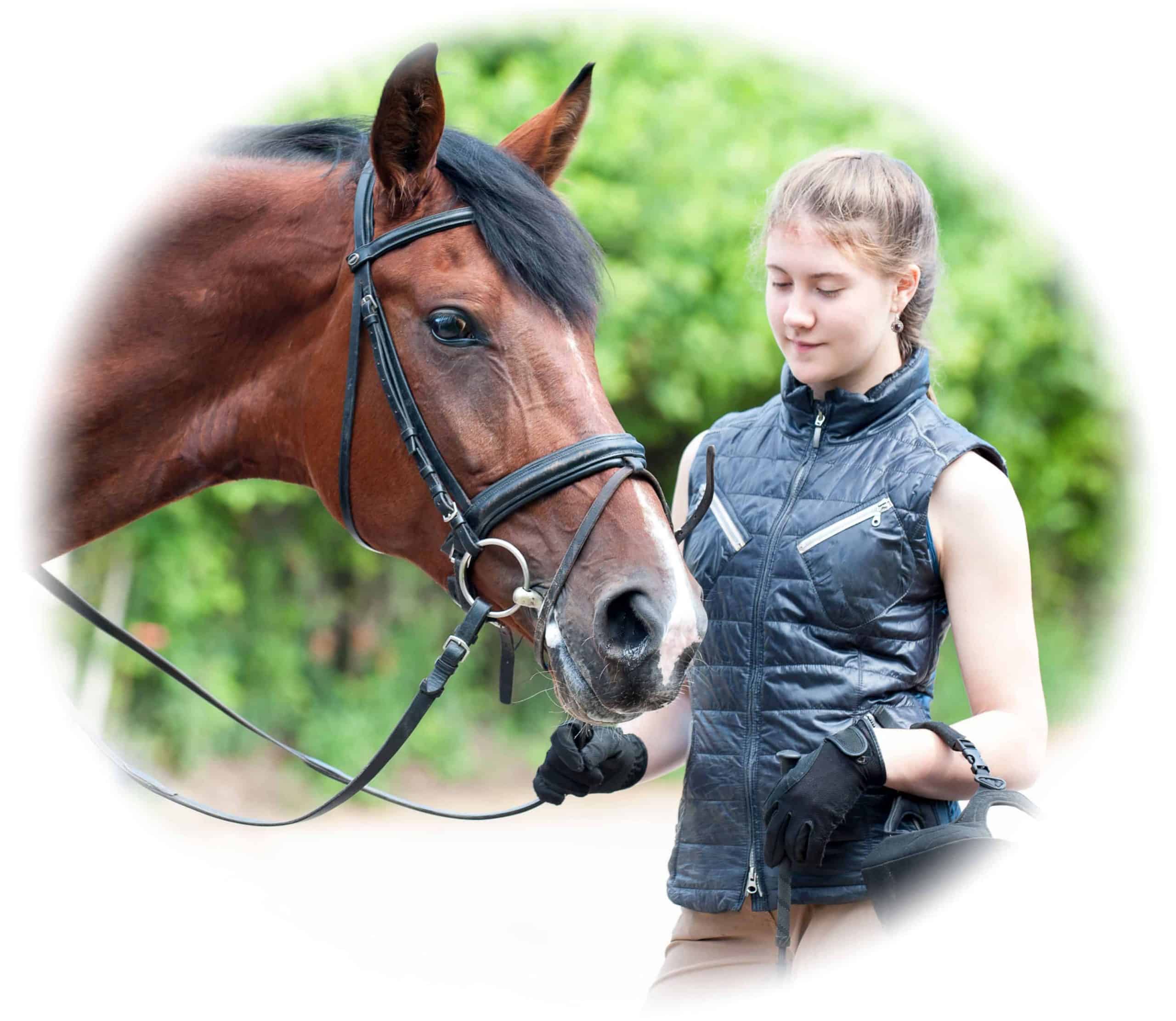 Entry in the horse care studies training course