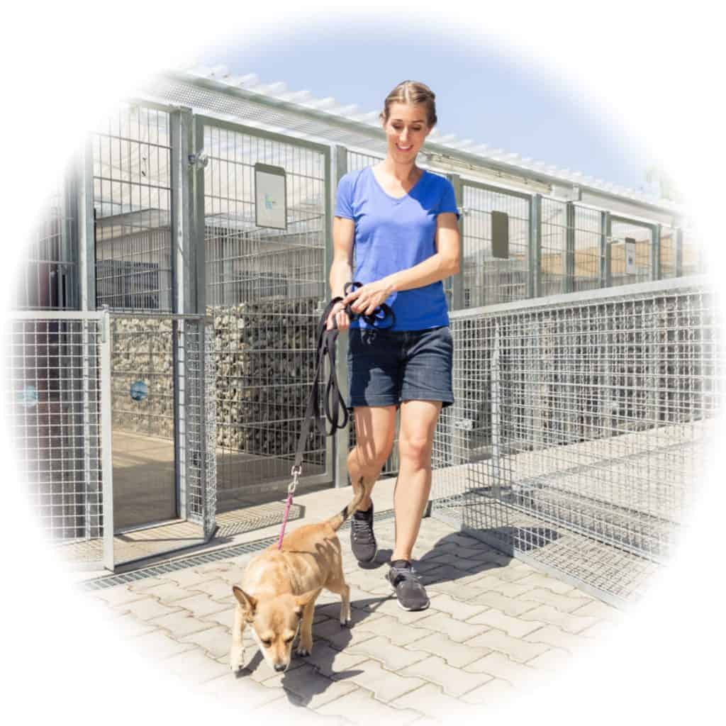 Top Careers Working With Animals and Salary Expectations in Australia