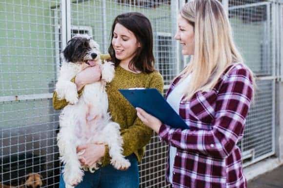 Salary and job pay conditions for animal care careers