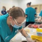 Vet assistants, nurses and techs - are they different