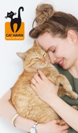 Study at Perth's Cat Haven Learn animal studies on campus in perth