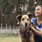 Volunteering and working with animals in Australia