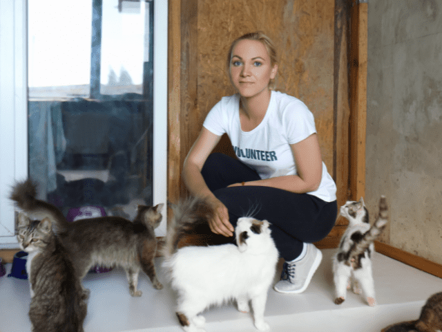 How to find volunteer work with animals