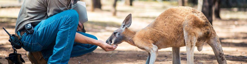 Zoo keeper course in Australia