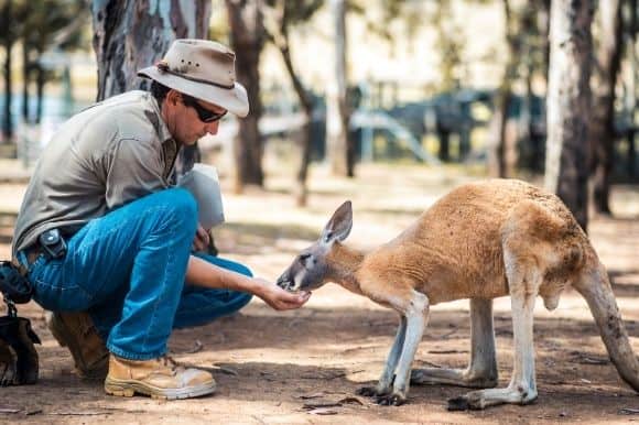 How to become a zookeeper in Australia