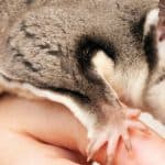 Top 3 questions about working in a zoo