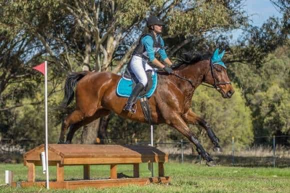 Working with horses - equine vet nurse and health care