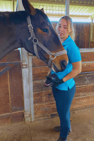 owning a horse for beginners - how to look after your horse