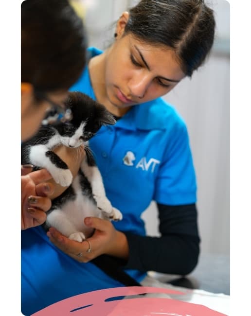 Course in animal welfare and care