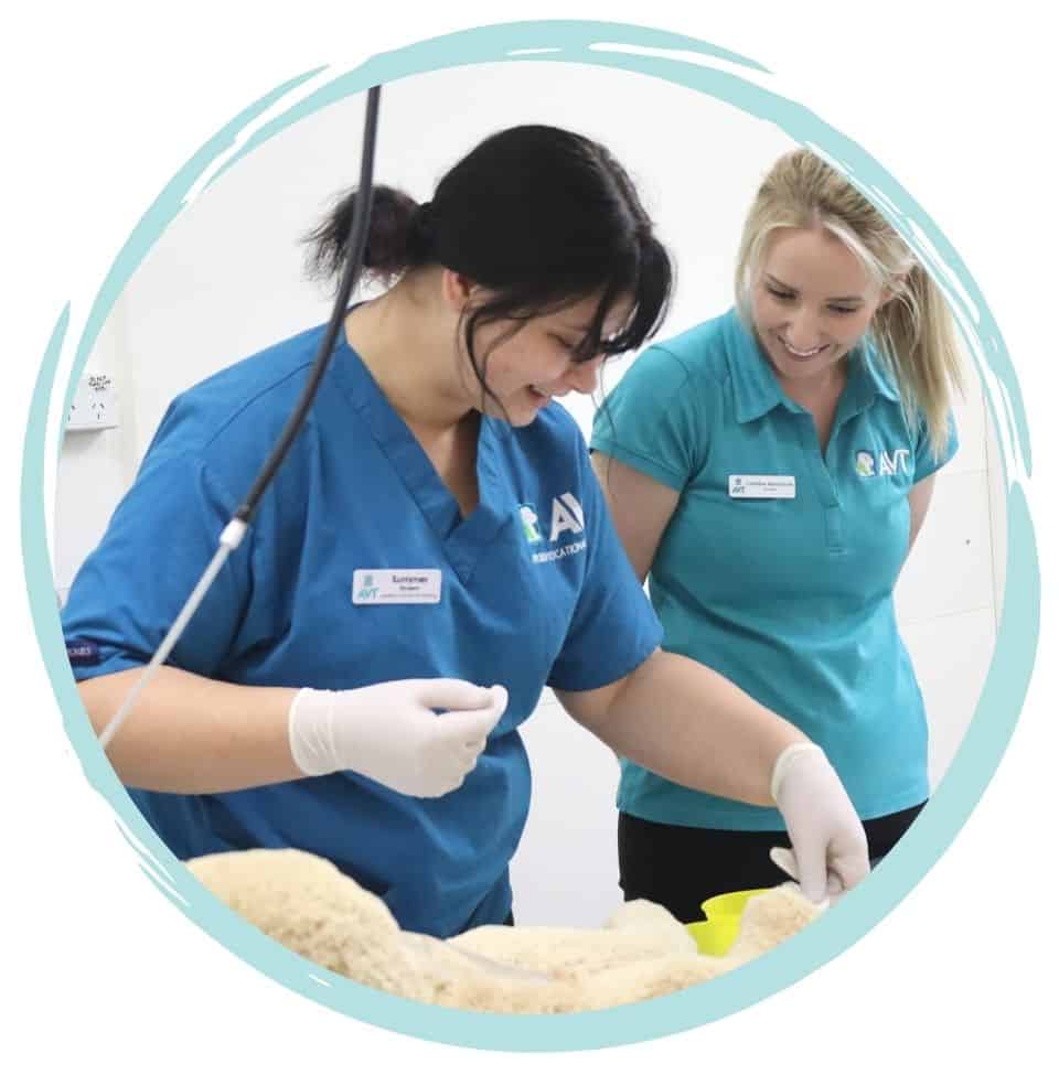 Vet Nursing Pathway Course in Perth