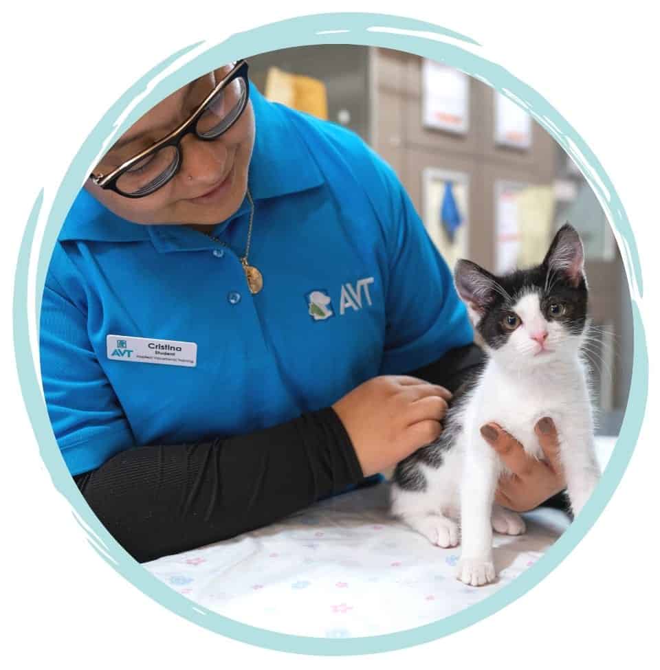 Animal Care and Welfare Course - Cat Haven Perth