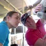 Is a career working with horses for you - equine industry advice