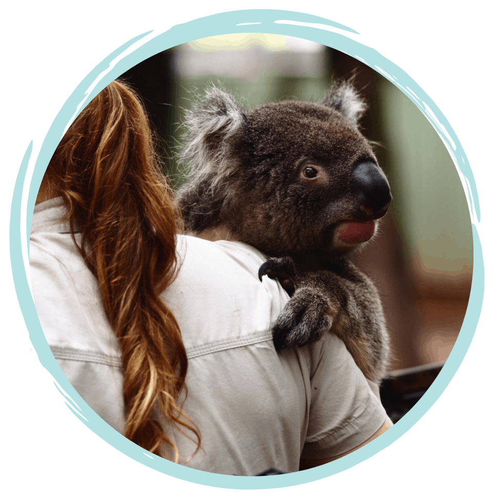 Zoo and Wildlife Care Course - Based in Perth Australia