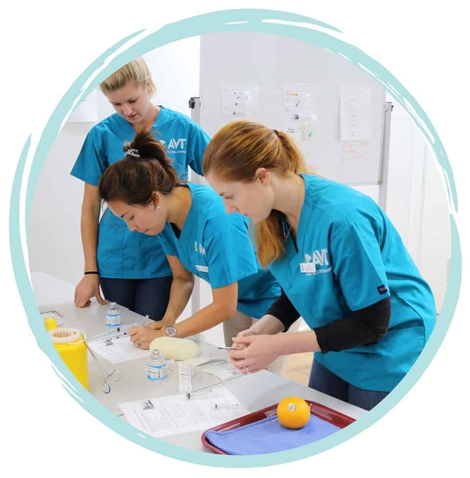 Government Funding and subsidised Vet Nursing course