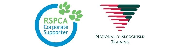 Study at the RSPCA and get your AVT qualification