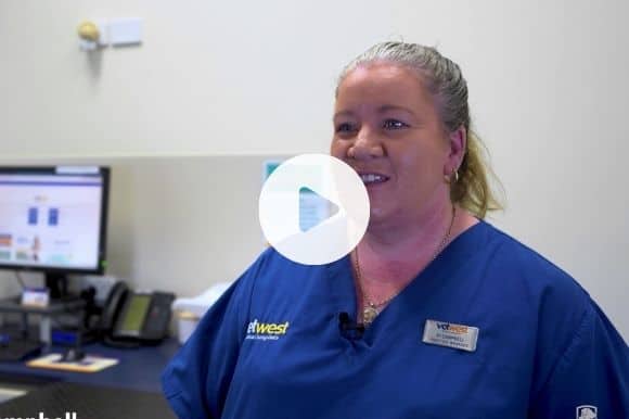 How to become a Vet Nurse in Australia