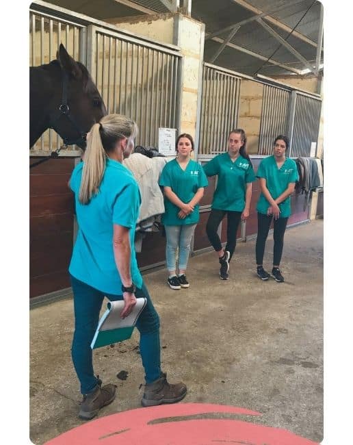 Equine Veterinary Nurse Training Course - college