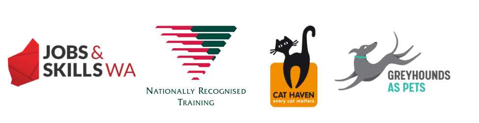 Animal Health - GAP and Cat Haven course