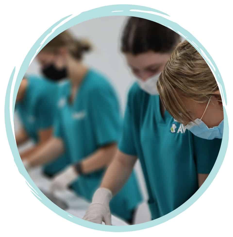 Animal Care course for high school students