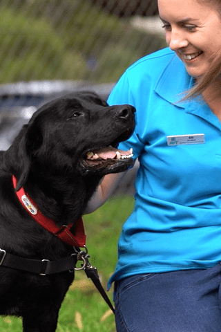 Becoming a Dog Trainer in Australia