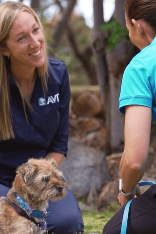 How to become a dog trainer in Perth