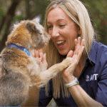 Become a dog trainer in Australia