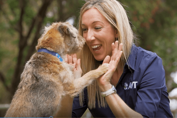 Become a dog trainer in Australia