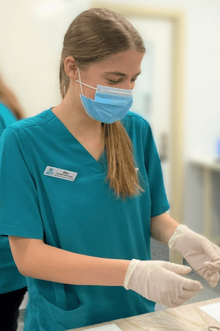 Time to become a vet nurse in Perth