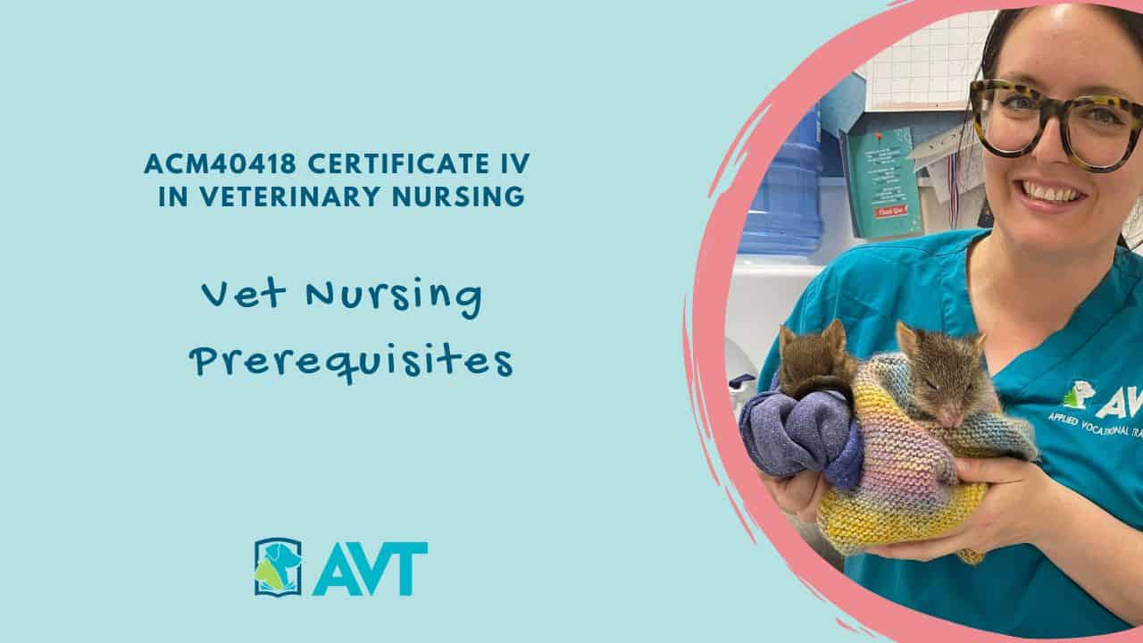 Vet Nursing Prerequisites