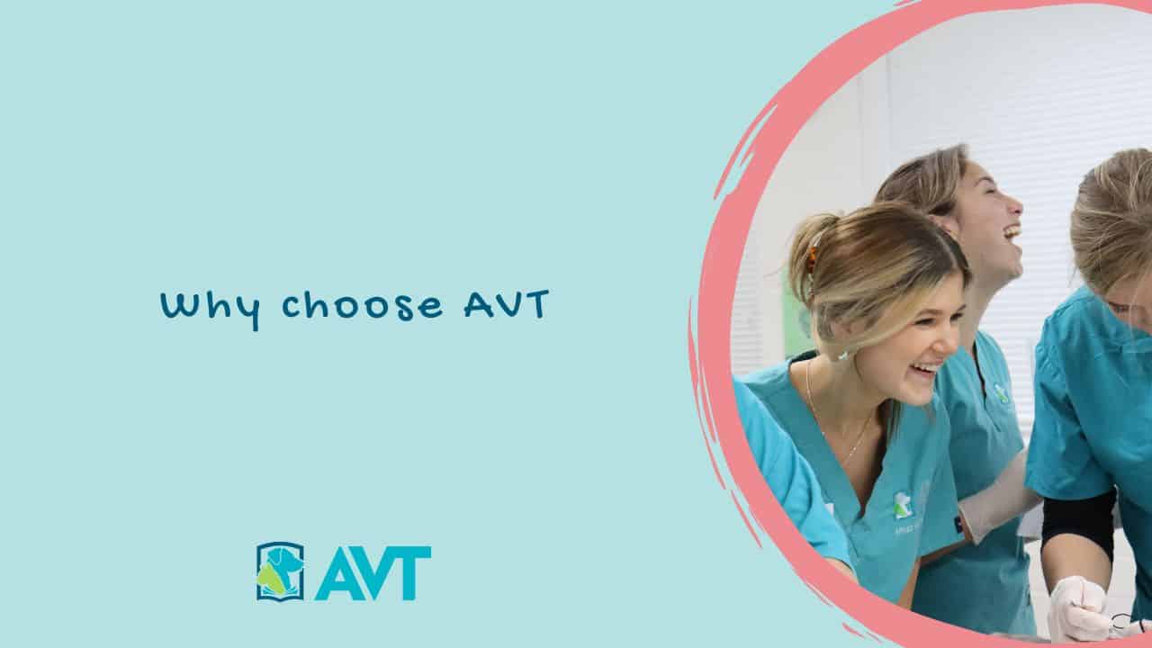 Why choose AVT