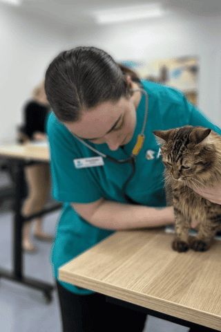Tips for stress management in animal care