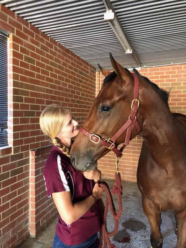 The Animal Hospital Equine Vet Nurse