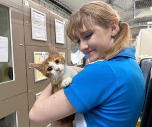 avt animal health and welfare gallery 01