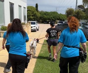 avt animal health and welfare gallery 09