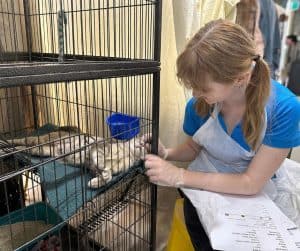 avt animal health and welfare gallery 10