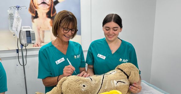 avt-animal-care-careers-overview-vet-nurse-v2-593x309