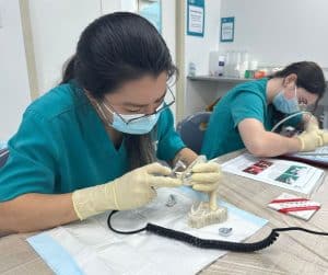 avt animal care careers vet nurse image gallery 04