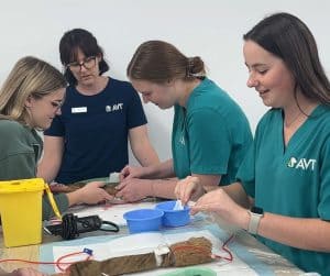 avt animal care careers vet nurse image gallery 05